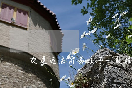 交通违法简易程序一般程序的区别 交通违法简易程序一般程序的区别