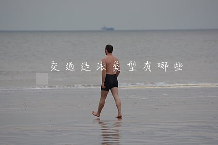 交通违法类型有哪些