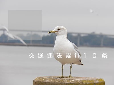交通违法累计10条 交通违法累计10条