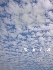 交通违法缴费网上交 交通违法缴费网上交