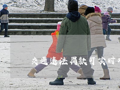交通违法罚款可实时对账 交通违法罚款可实时对账