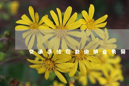 交通违法罚款缴纳业务异常