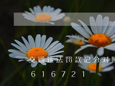 交通违法罚款记分对照表/2023012616721