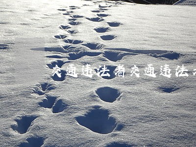 交通违法者交通违法者 交通违法者交通违法者
