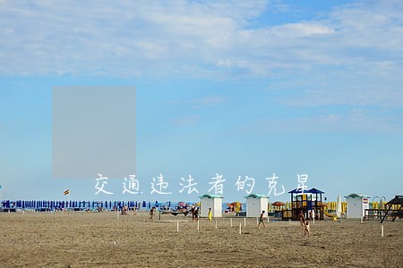交通违法者的克星 交通违法者的克星