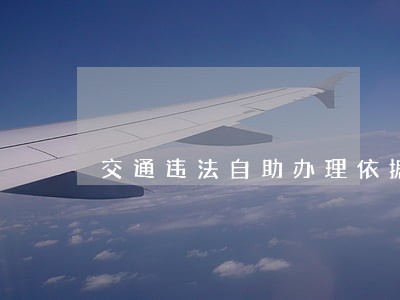 交通违法自助办理依据 交通违法自助办理依据