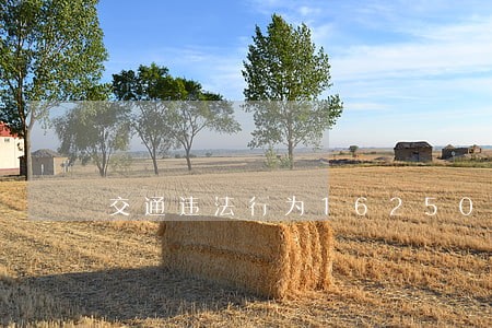 交通违法行为16250是什么意思