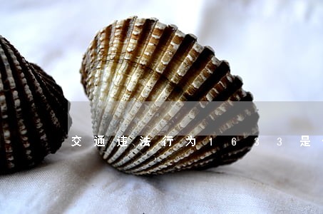 交通违法行为1633是什么 交通违法行为1633是什么
