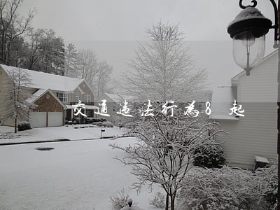 交通违法行为8起 交通违法行为8起