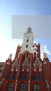 交通违法行为代码10052