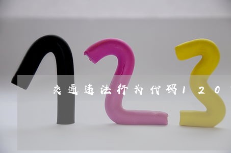 交通违法行为代码1207 交通违法行为代码1207