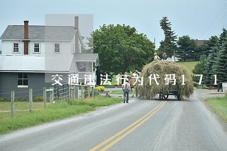 交通违法行为代码17172