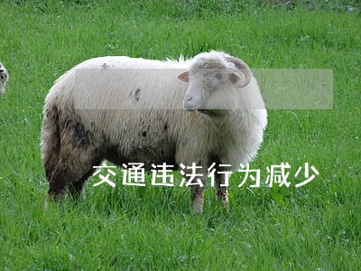 交通违法行为减少