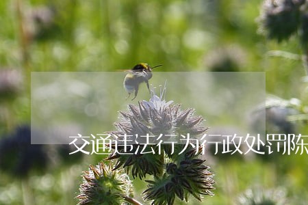 交通违法行为行政处罚陈述申辩书 交通违法行为行政处罚陈述申辩书