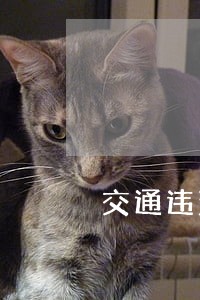 交通违法行为行政复议申请书 交通违法行为行政复议申请书