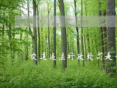 交通违法行政处罚是否需要明知