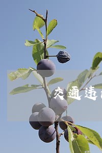 交通违法行政复议统计分析 交通违法行政复议统计分析