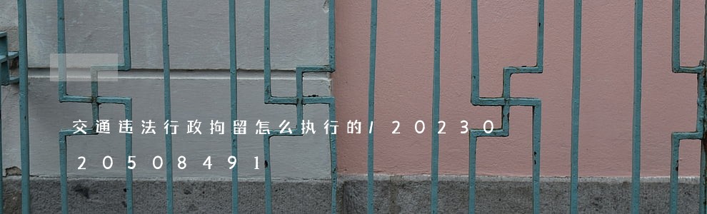 交通违法行政拘留怎么执行的/2023020508491 交通违法行政拘留怎么执行的/2023020508491