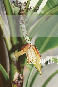 交通违法被扣分交管网上可查到 交通违法被扣分交管网上可查到