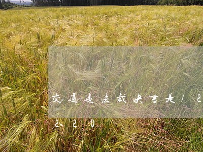 交通违法裁决书是/2023012607220 交通违法裁决书是/2023012607220