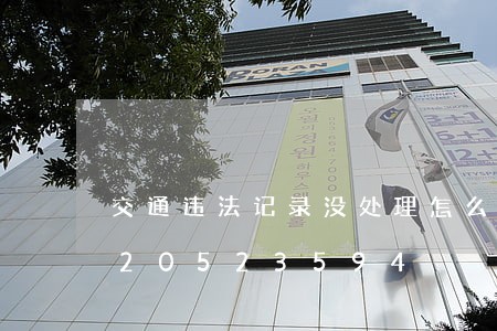 交通违法记录没处理怎么没了/2023020523594 交通违法记录没处理怎么没了/2023020523594