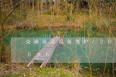 交通违法设备维护/2023020324696 交通违法设备维护/2023020324696
