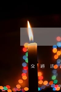 交通违法车辆信息查询登录不上