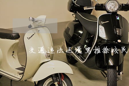 交通违法还谩骂推搡咬民警