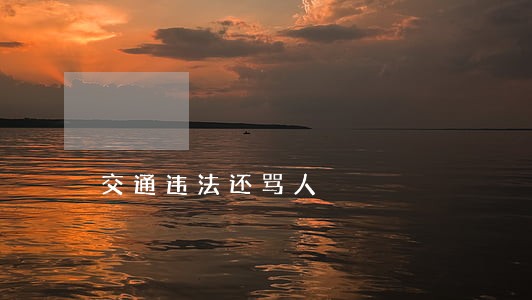 交通违法还骂人 交通违法还骂人