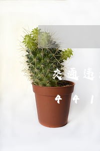 交通违法违规通报制度/2023020444162 交通违法违规通报制度/2023020444162