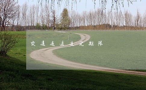 交通违法追究期限 交通违法追究期限