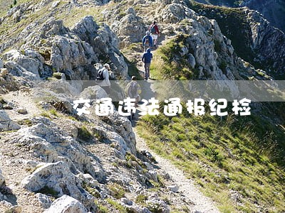 交通违法通报纪检 交通违法通报纪检