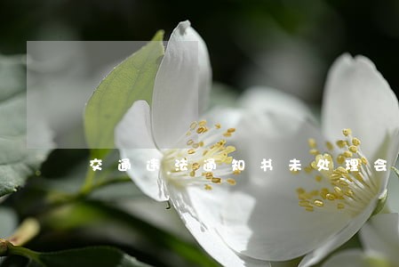 交通违法通知书未处理会怎么样 交通违法通知书未处理会怎么样