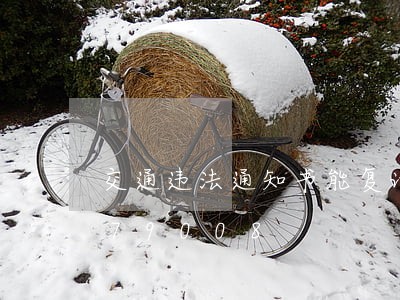 交通违法通知书能复议/2023020579008 交通违法通知书能复议/2023020579008
