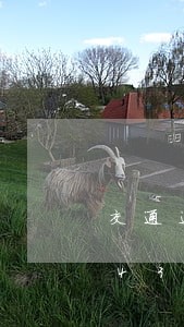 交通违法通知书规定/2023020384308 交通违法通知书规定/2023020384308