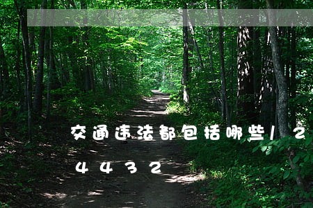 交通违法都包括哪些/2023020304432 交通违法都包括哪些/2023020304432