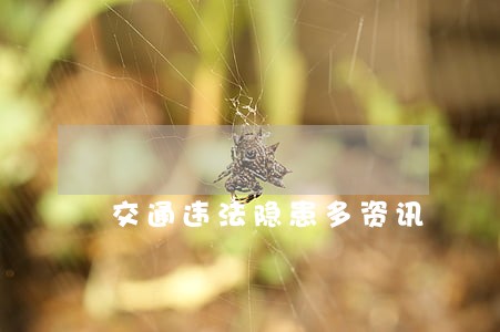 交通违法隐患多资讯 交通违法隐患多资讯