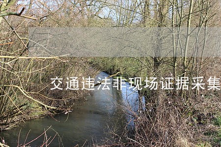 交通违法非现场证据采集标准 交通违法非现场证据采集标准