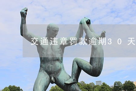 交通违章罚款逾期30天未处理 交通违章罚款逾期30天未处理