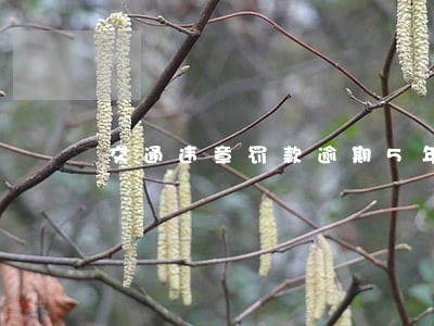 交通违章罚款逾期5年未交 交通违章罚款逾期5年未交