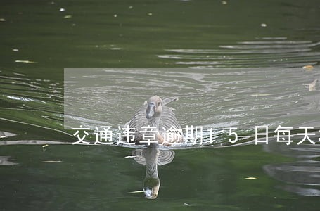 交通违章逾期15日每天3倍 交通违章逾期15日每天3倍