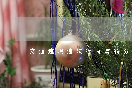 交通违规违法行为与罚分对照表a