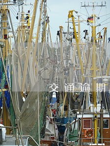 交通逾期1万 交通逾期1万