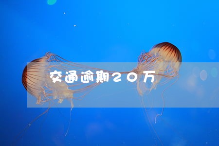 交通逾期20万 交通逾期20万