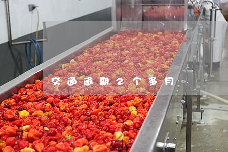 交通逾期2个多月 交通逾期2个多月