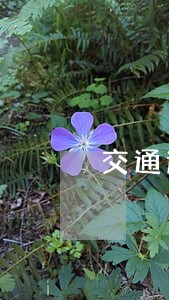 交通逾期2天就被停卡了