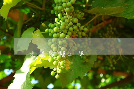 交通逾期2年 交通逾期2年