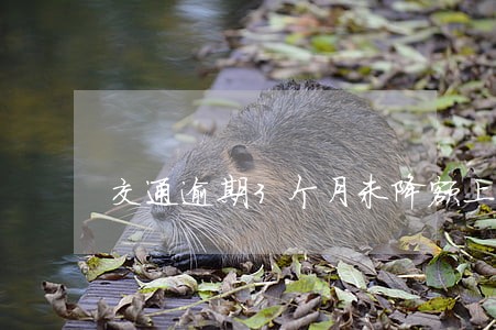交通逾期3个月未降额上海 交通逾期3个月未降额上海