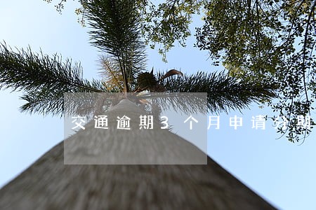 交通逾期3个月申请分期 交通逾期3个月申请分期