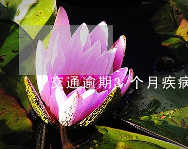 交通逾期3个月疾病 交通逾期3个月疾病